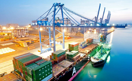 Import Export Licence